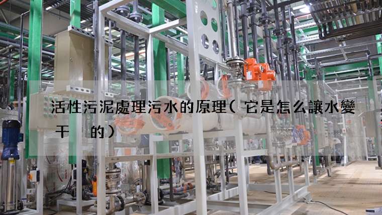 活性污泥處理污水的原理(它是怎么讓水變干凈的)